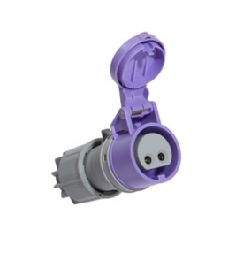 PROLONGATEUR PRISE FEMELLE 24V P17 2P 16A VIOLETTE